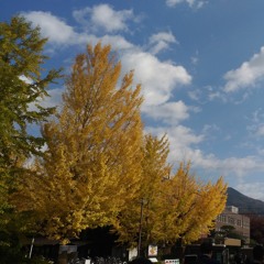 Shed A Tear - Kodaline (acoustic cover)