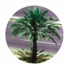 PREMIERE: Harrison BDP - Foxgloves [Lost Palms]