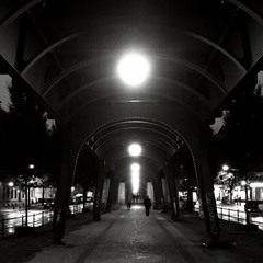 Down the rabbit hole