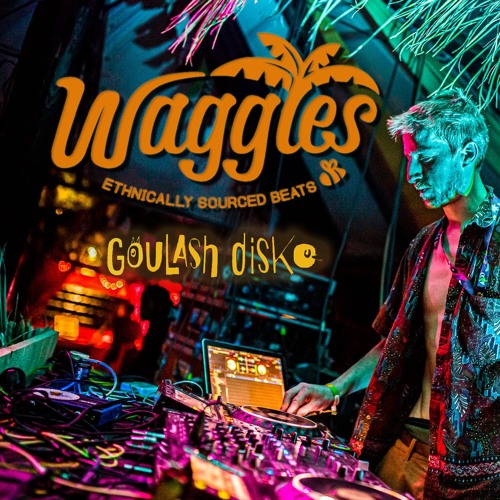 Waggles at Goulash Disko 2019 (mainstage set)