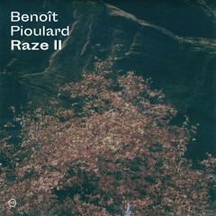 Benoît Pioulard: Raze II