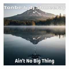 Tonbe & dj ShmeeJay - Ain't No Big thing