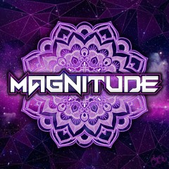 PARADIGMA LIVE - Magnitude Festival 2019