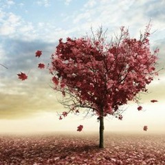 Kina - Can We kiss forever  (Brave Maria Bootleg)