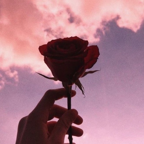 Stream Strawberries and CigarettesTroye Sivan cover by cxnflx_ Listen online for free on