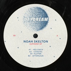 Noah Skelton - Euphony EP (DAYDREAM008)