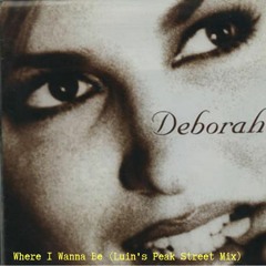 Debbie Gibson - Where I Wanna Be (Luin's Peak Street Mix)