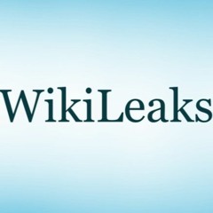 The History Of Wikileaks (Feat. Crispin Burke)