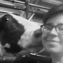 Rebecca Seidel, dairy farmer & cheesemaker pt. 2