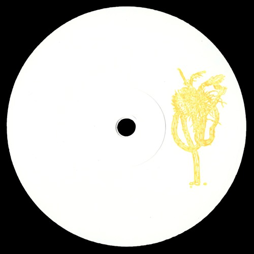 PREMIERE: Tlim Shug - Lava U [Cactus Traxx]