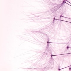 warm up @ monopark outdoor 31 I 08 I 2019