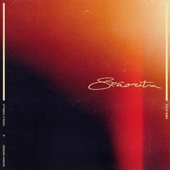 Shawn Mendes, Camila Cabello - Señorita (SIXCAP Bootleg)