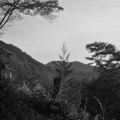 japanese rock folk/psicodelic
