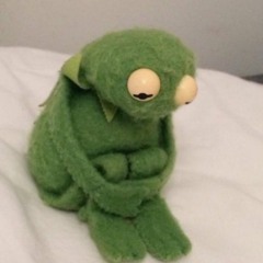 BIGM - Project (SNIPPET)