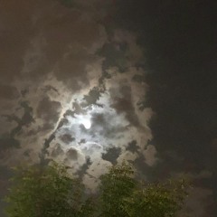 آه لو تدرين كيف يعذب الحب.