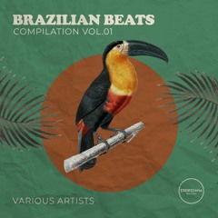 Tom Zé - Xique Xique (IVN & LZØ Edit)