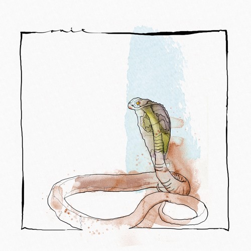 David Mayer - Skanda (Edit)