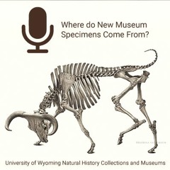Where Do New Museum Specimens Come From?