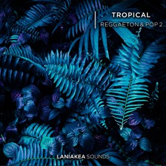 Tropical  Reggaeton & Pop 2