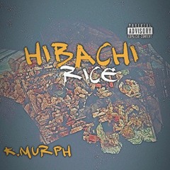 Hibachi Rice