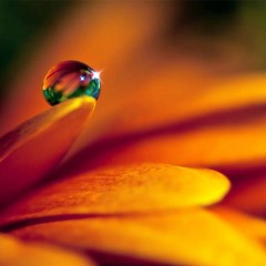 Essential  DEEP HOUSE mix  1              The original 1st set ever !