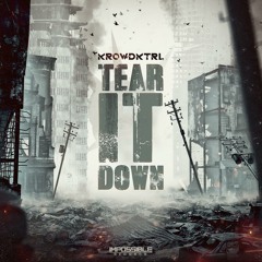 KROWD KTRL Tear It Down - Impossible Records