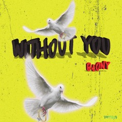 Without You