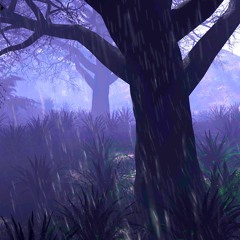 Rain & Thunder Sounds In Forest (75 Minutes)
