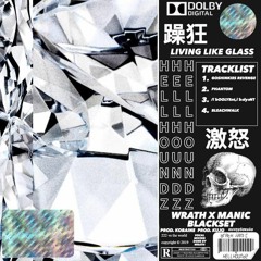 goshinkies revenge (PROD.KOBAINE)