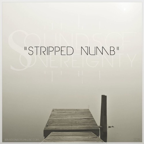 Stripped Numb (vocal version)