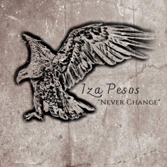 Never Change (Prod. Treble Gang)