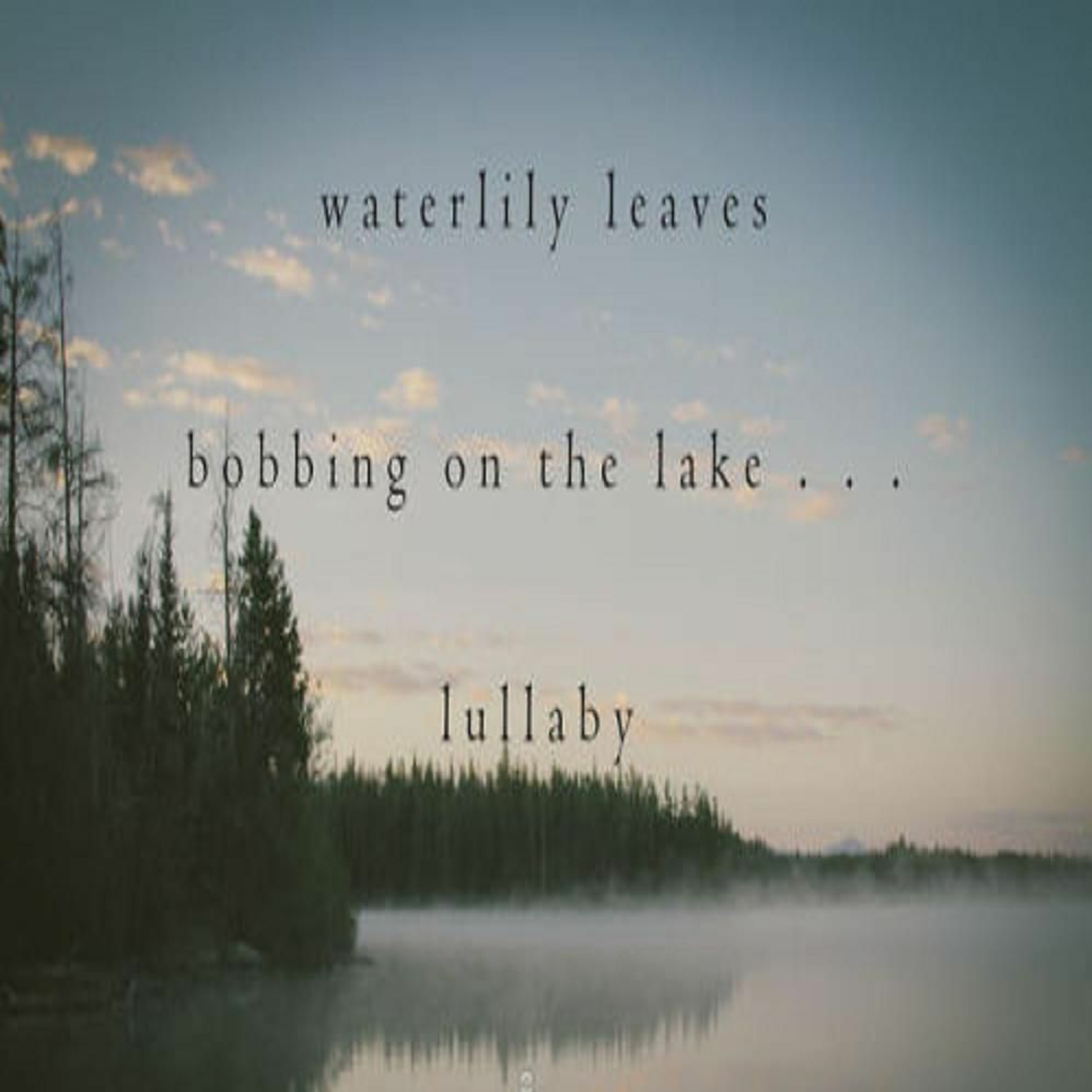 Waterlily Leaves Bobbing On The Lake(Naviarhaiku 301) episode artwork