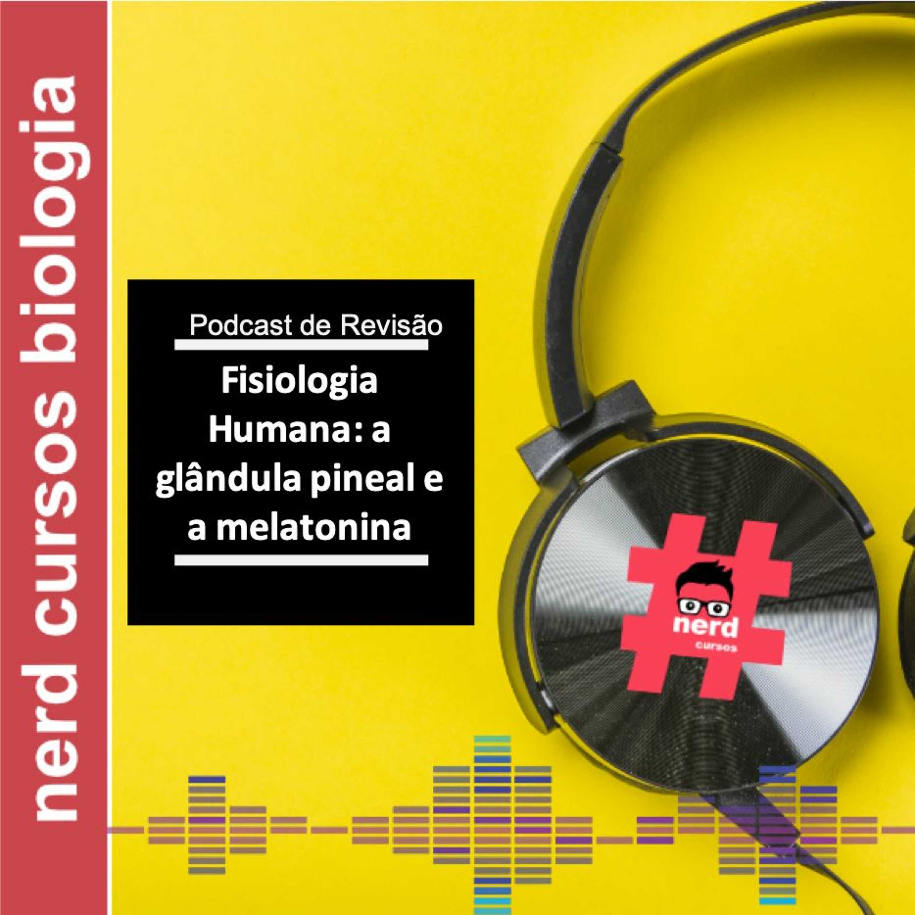 Revisão - A Glândula Pineal E A Melatonina