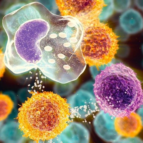 Free Radicals