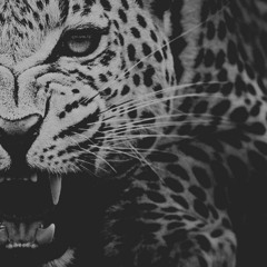 Ephemer - III - Astoria