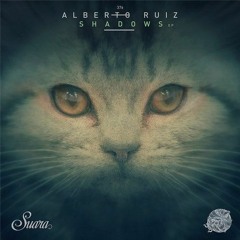 Alberto Ruiz - Destroy - Original (Suara)