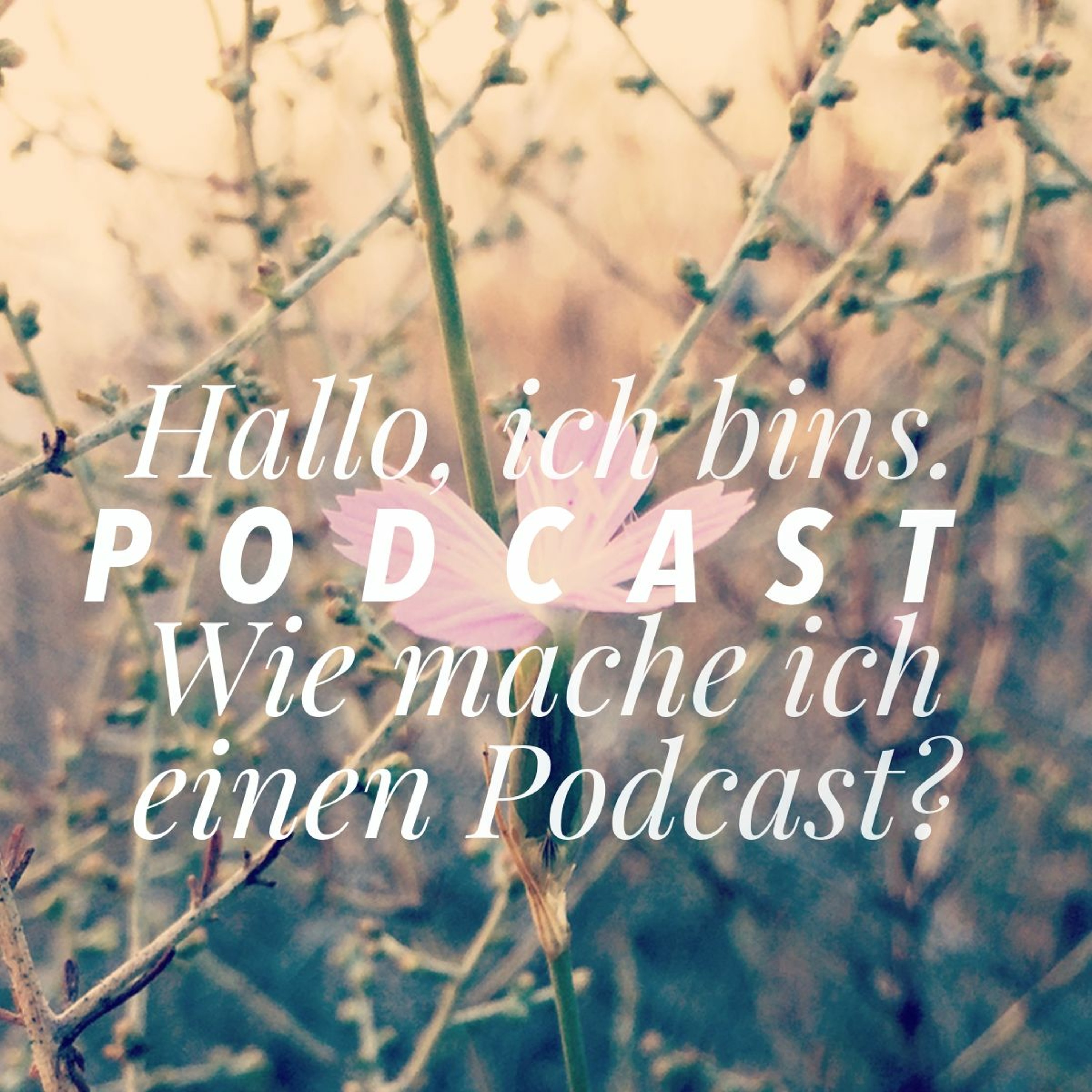 Hallo, ich bin\'s.