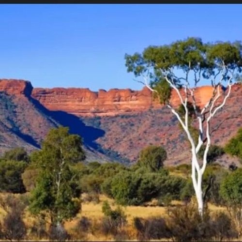 Home - Among - The - Gumtrees - Jesse - Bloch - Remix - Youtubemp3free.org