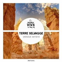 Hideyoshi - Trust Act (Original Mix)[Natura Viva]