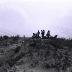 Ciaccona - Violin Performance