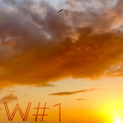 Ali Tillett(Warm) /\ Buzzards Beyond The Sun #1