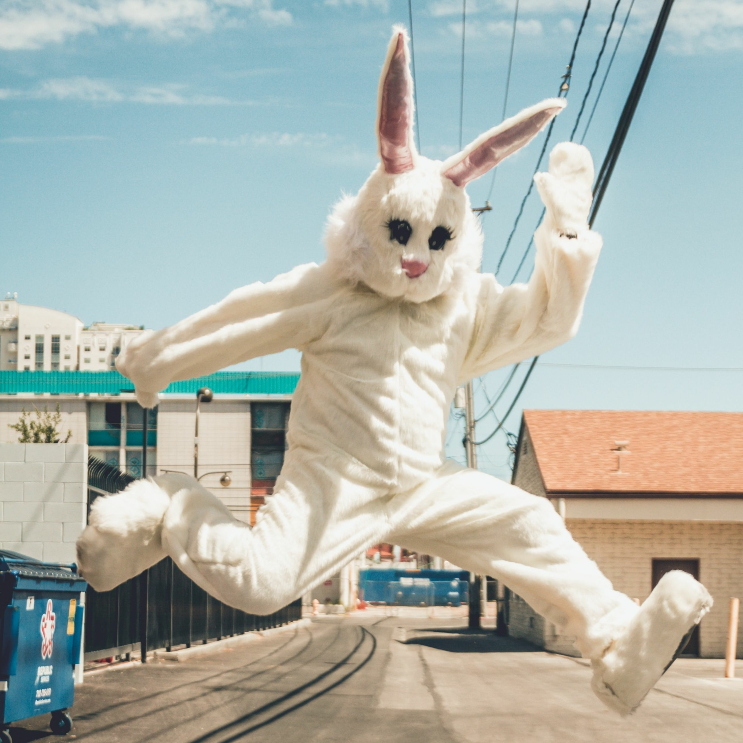 Le temps d\'un lapin