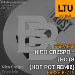 Premiere: Nico Crespo - Thots (Hot Pot Remix) | Brash Beats