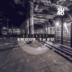 Brisboys - Shoot Thru (Marcelo Demarco Remix)