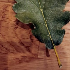 Fellow Friend And Kin