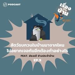 เรื่องบ้านบ้าน EP.9 สัตว์รบกวนในบ้านมาจากไหน ไม่อยากเจอกันอีกต้องทำอย่างไร Feat. ฮ่องเต้