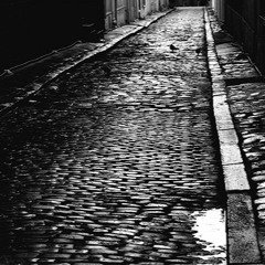 Le Soir