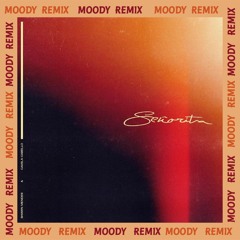 Shawn Mendes & Camila Cabello - Señorita (MOODY REMIX) FREE DOWNLOAD