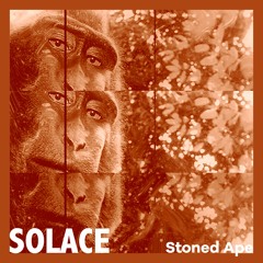 Solace
