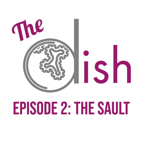 Episode 2: The Sault - Manda Rivers and Betty Currie